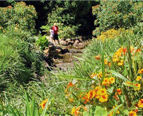Bonaira Native Gardens - Accommodation Main Beach 0