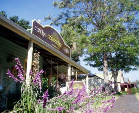 Passionfish Candles - Accommodation Main Beach 0