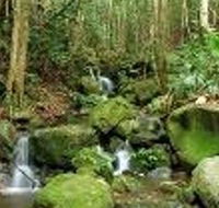 Budderoo National Park - Accommodation Main Beach