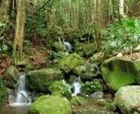 Budderoo National Park - Accommodation Main Beach 0