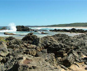 Coastal Walks - Bermagui - Accommodation Main Beach 0