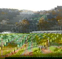 Tilba Valley Wines - Accommodation Main Beach