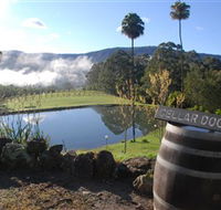 Yarrawa Estate - Accommodation Main Beach