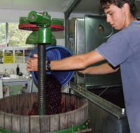 Fern Gully Winery - Accommodation Main Beach