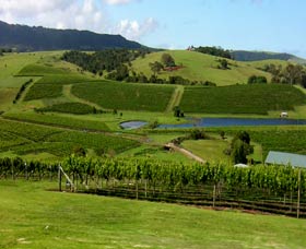 Crooked River Winery - Accommodation Main Beach 0
