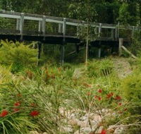 Eurobodalla Botanic Gardens - Accommodation Main Beach