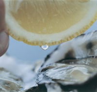 Pearly Oyster Bar and Farm - Accommodation Main Beach