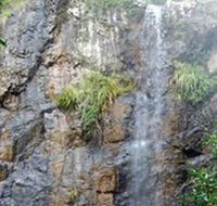 Wedding Bells Forest Drive - Accommodation Main Beach