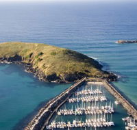 Muttonbird Island Nature Reserve - Accommodation Main Beach