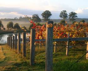 Roses Vineyard At Innes View - Accommodation Main Beach 2