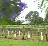 Douglas Vale Historic Homestead  Vineyard - Accommodation Main Beach