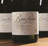 Briar Ridge Vineyard - Accommodation Main Beach