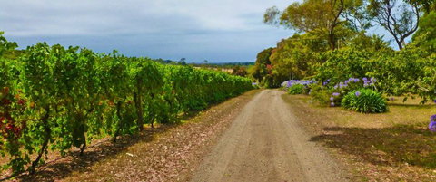 Merricks Estate - Accommodation Main Beach 1