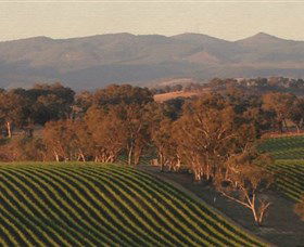 Angullong Wines - Accommodation Main Beach 0