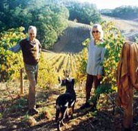 Mt Lofty Ranges Vineyard - Accommodation Main Beach