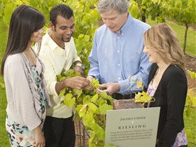 Jacob's Creek Vineyard Tour - Accommodation Main Beach 0
