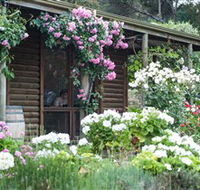 Lavina Wines - Accommodation Main Beach