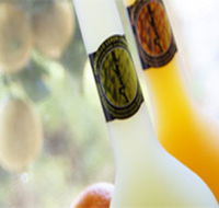 Ambra Limoncello - Accommodation Main Beach