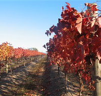Kooyonga Creek Wines - Accommodation Main Beach