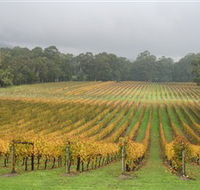 Boat O'Craigo Wines - Accommodation Main Beach