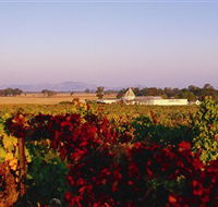 Morris Wines - Accommodation Main Beach