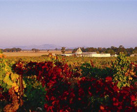 Morris Wines - Accommodation Main Beach 0