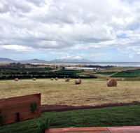 The Hazards Vineyard - Devil's Corner - Accommodation Main Beach