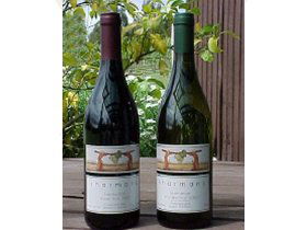 North Esk River Vineyard - Accommodation Main Beach 0