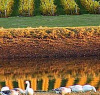 Pipers Brook Vineyard - Accommodation Main Beach