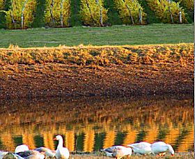 Pipers Brook Vineyard - Accommodation Main Beach 0