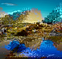 Loira Vines - Accommodation Main Beach