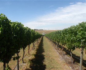 Cannibal Creek Vineyard - Accommodation Main Beach 1