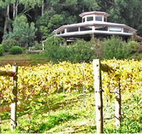 Peveril Vineyard/Beechy Berries - Accommodation Main Beach