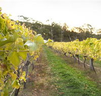 Harcourt Valley Vineyards - Accommodation Main Beach