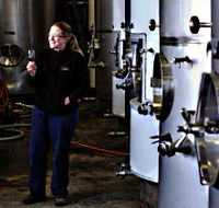 Holm Oak Vineyard - Accommodation Main Beach