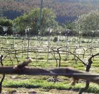 Three Willows Vineyard - Accommodation Main Beach
