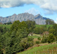 Lake Barrington Vineyard - Accommodation Main Beach
