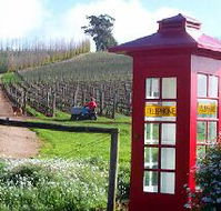 Dalrymple Vineyards - Accommodation Main Beach