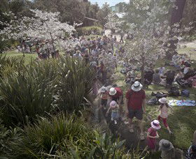 Royal Botanic Gardens Victoria - Accommodation Main Beach 7