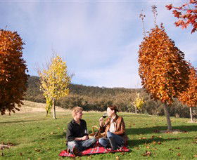Gapsted Wines - Accommodation Main Beach 5