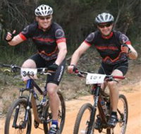 Trailhead Bike Co. - Accommodation Main Beach