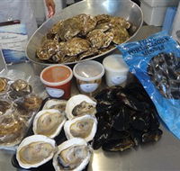 Advance Mussel Supply - Accommodation Main Beach