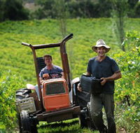 Kellybrook Winery Kelly Brothers Cider  Riders Brew Co. - Accommodation Main Beach