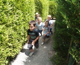 Hedgend Maze And Healesville Laser Sport - Accommodation Main Beach 1
