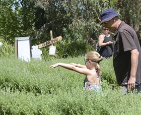 Hedgend Maze And Healesville Laser Sport - Accommodation Main Beach 2