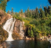 Steavenson Falls Marysville - Accommodation Main Beach