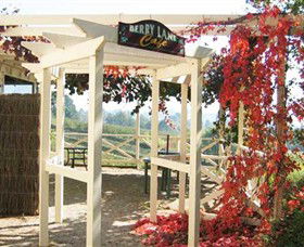Blue Hills Berries & Cherries - Accommodation Main Beach 1