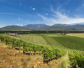 Feathertop Winery - Accommodation Main Beach 3