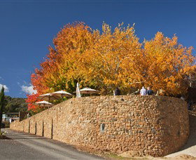 Feathertop Winery - Accommodation Main Beach 5