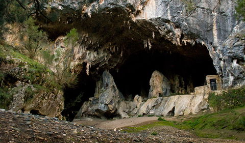 Abercrombie Karst Conservation Reserve - Accommodation Main Beach 3